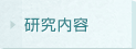 研究内容